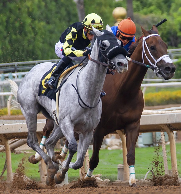 这一成就 这一成就